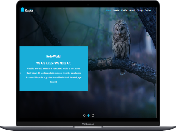 portfolio
