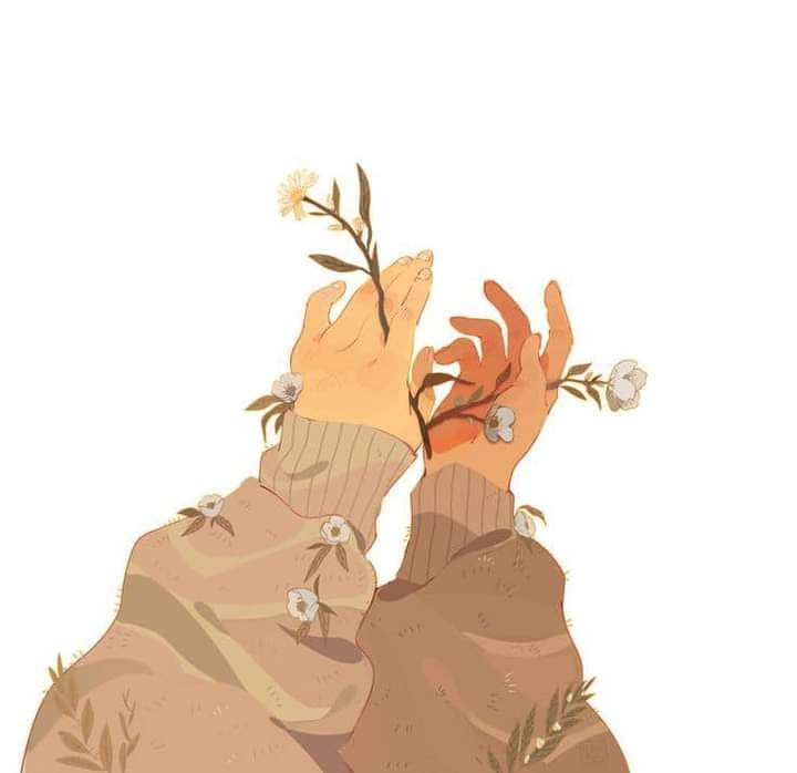 سميه محمود ابراهيم الدسوقي