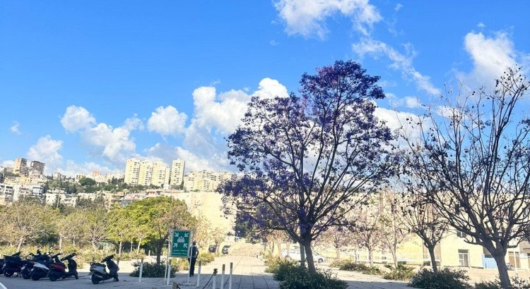 بالاستشارة ترتاح وتنعم بالحياة